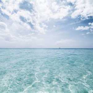 我是娇小魅魔的忠实仆人2
